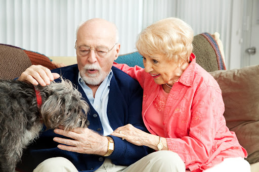 Dog Companions are Great for Seniors